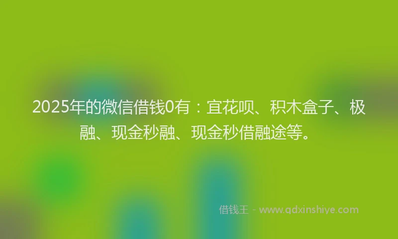 2025年的微信借钱0有：宜花呗、积木盒子、极融、现金秒融、现金秒借融途等。
