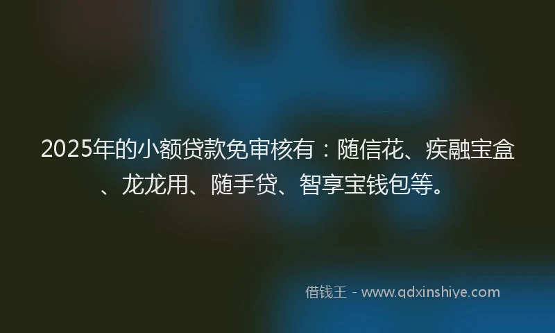2025年的小额贷款免审核有：随信花、疾融宝盒、龙龙用、随手贷、智享宝钱包等。