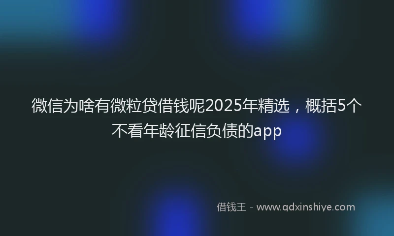 微信为啥有微粒贷借钱呢2025年精选，概括5个不看年龄征信负债的app