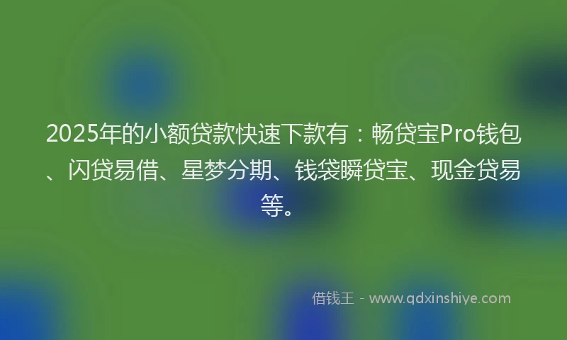 2025年的小额贷款快速下款有：畅贷宝Pro钱包、闪贷易借、星梦分期、钱袋瞬贷宝、现金贷易等。
