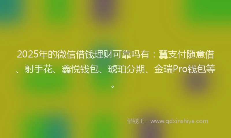 2025年的微信借钱理财可靠吗有：翼支付随意借、射手花、鑫悦钱包、琥珀分期、金瑞Pro钱包等。