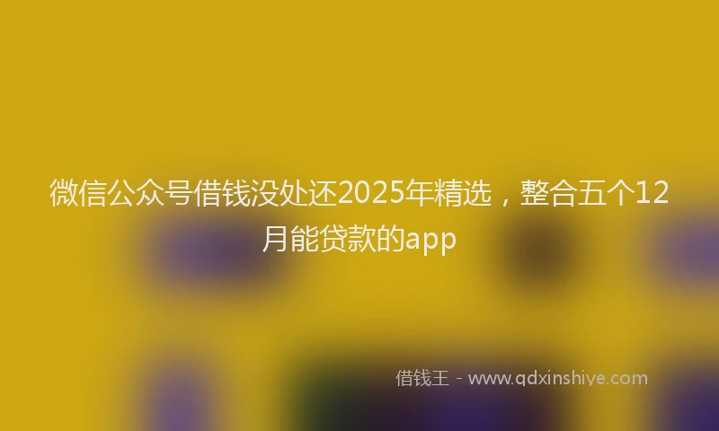 微信公众号借钱没处还2025年精选，整合五个12月能贷款的app