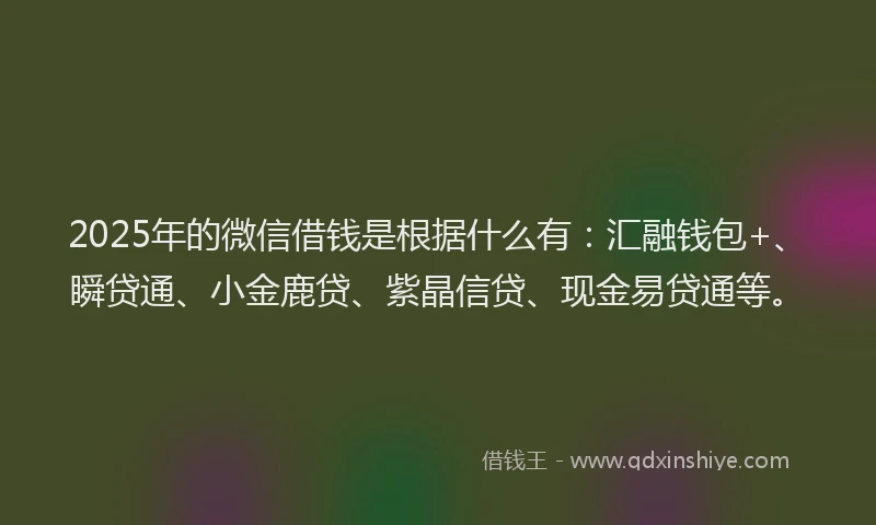 2025年的微信借钱是根据什么有：汇融钱包+、瞬贷通、小金鹿贷、紫晶信贷、现金易贷通等。