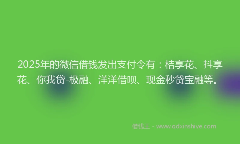 2025年的微信借钱发出支付令有：桔享花、抖享花、你我贷-极融、洋洋借呗、现金秒贷宝融等。