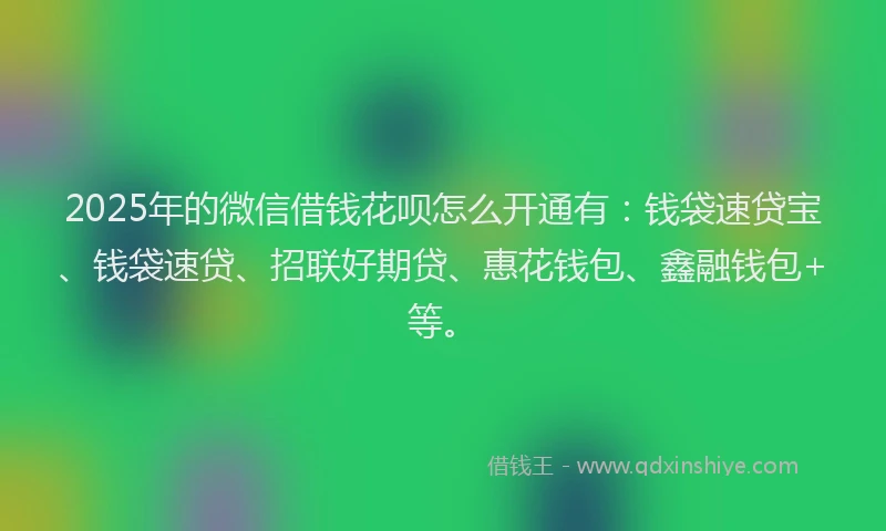 2025年的微信借钱花呗怎么开通有：钱袋速贷宝、钱袋速贷、招联好期贷、惠花钱包、鑫融钱包+等。