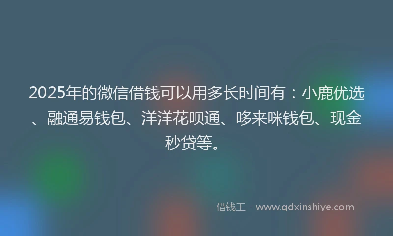 2025年的微信借钱可以用多长时间有：小鹿优选、融通易钱包、洋洋花呗通、哆来咪钱包、现金秒贷等。