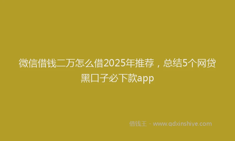 微信借钱二万怎么借2025年推荐，总结5个网贷黑口子必下款app