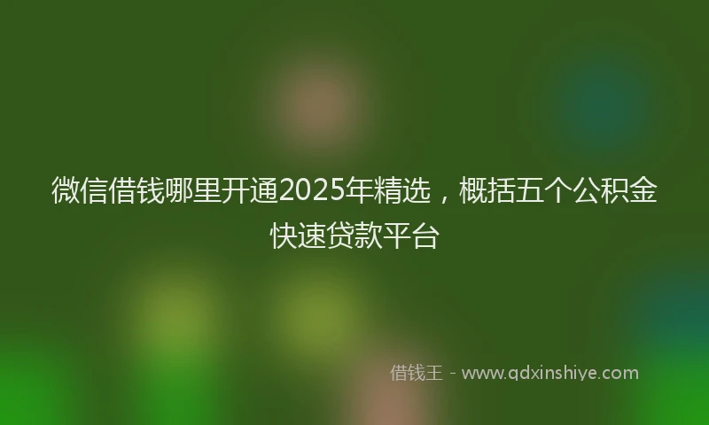 微信借钱哪里开通2025年精选，概括五个公积金快速贷款平台
