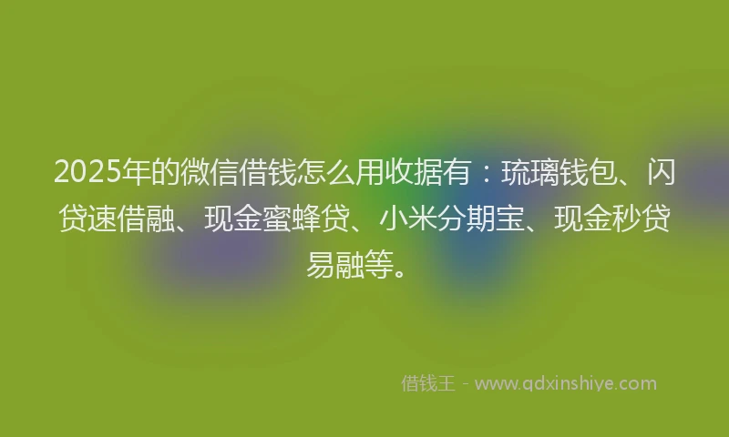 2025年的微信借钱怎么用收据有：琉璃钱包、闪贷速借融、现金蜜蜂贷、小米分期宝、现金秒贷易融等。