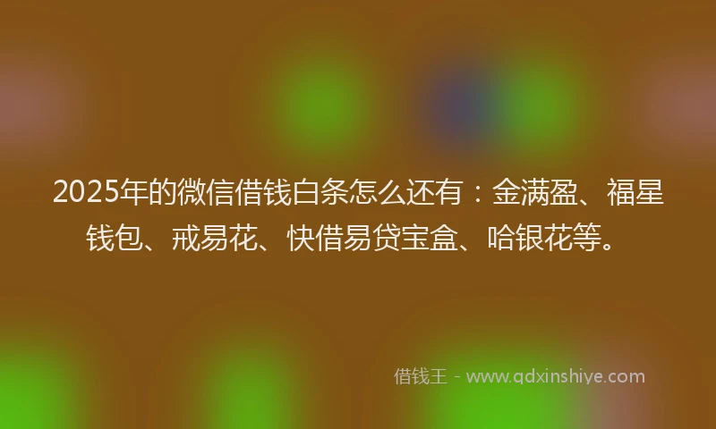 2025年的微信借钱白条怎么还有：金满盈、福星钱包、戒易花、快借易贷宝盒、哈银花等。
