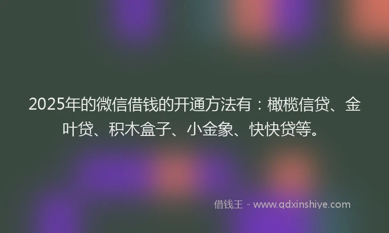 2025年的微信借钱的开通方法有：橄榄信贷、金叶贷、积木盒子、小金象、快快贷等。
