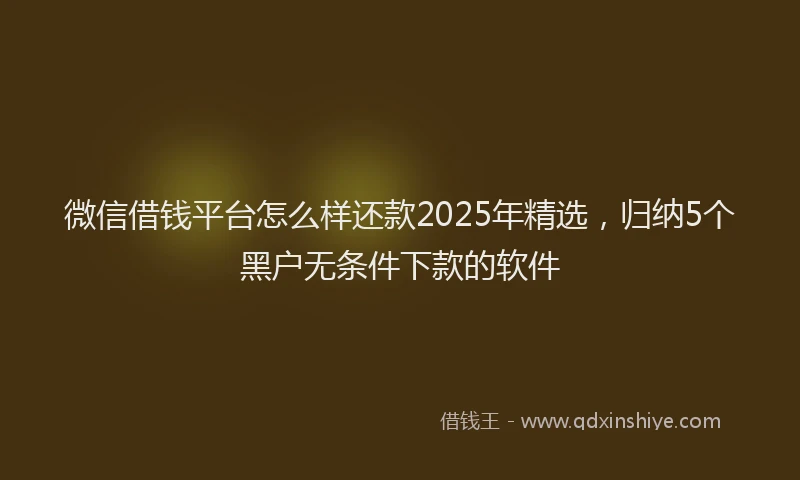 微信借钱平台怎么样还款2025年精选，归纳5个黑户无条件下款的软件
