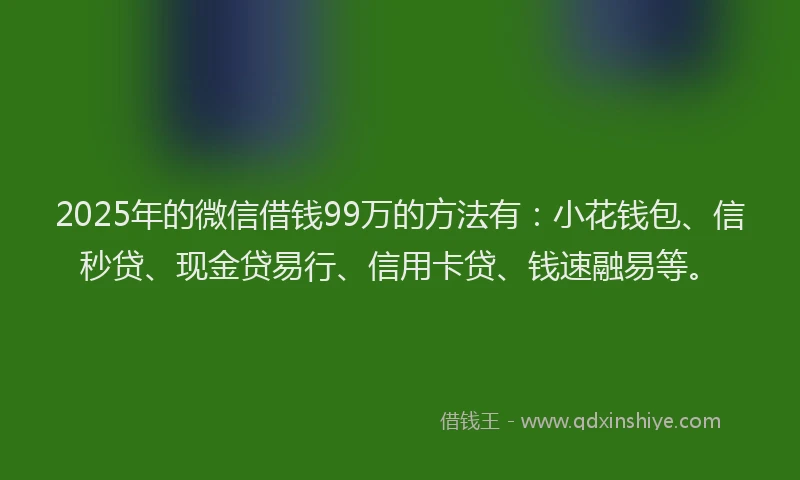 2025年的微信借钱99万的方法有：小花钱包、信秒贷、现金贷易行、信用卡贷、钱速融易等。