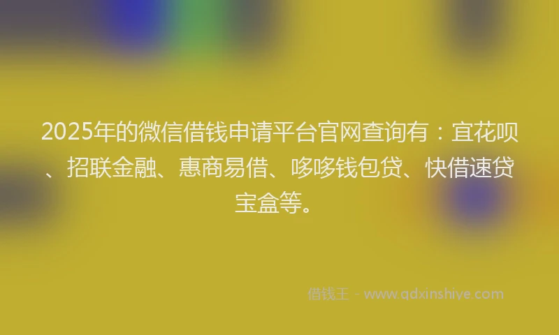 2025年的微信借钱申请平台官网查询有：宜花呗、招联金融、惠商易借、哆哆钱包贷、快借速贷宝盒等。