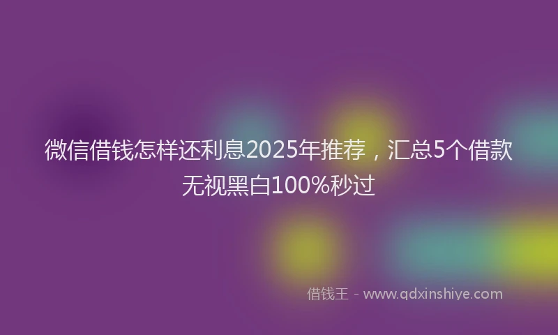 微信借钱怎样还利息2025年推荐，汇总5个借款无视黑白100%秒过