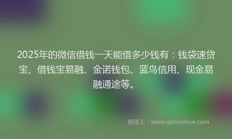 2025年的微信借钱一天能借多少钱有：钱袋速贷宝、借钱宝易融、金诺钱包、蓝鸟信用、现金易融通途等。