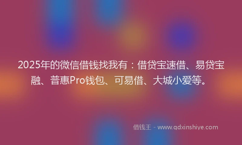 2025年的微信借钱找我有：借贷宝速借、易贷宝融、普惠Pro钱包、可易借、大城小爱等。
