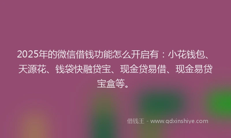 2025年的微信借钱功能怎么开启有：小花钱包、天源花、钱袋快融贷宝、现金贷易借、现金易贷宝盒等。