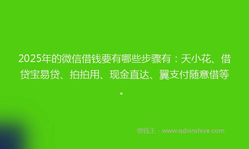 2025年的微信借钱要有哪些步骤有：天小花、借贷宝易贷、拍拍用、现金直达、翼支付随意借等。