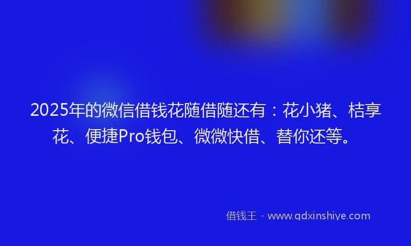 2025年的微信借钱花随借随还有：花小猪、桔享花、便捷Pro钱包、微微快借、替你还等。