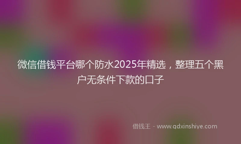 微信借钱平台哪个防水2025年精选，整理五个黑户无条件下款的口子