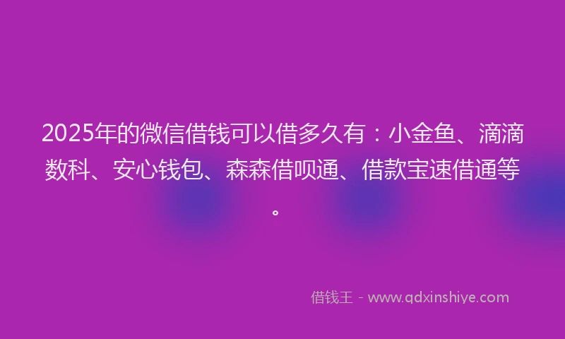 2025年的微信借钱可以借多久有：小金鱼、滴滴数科、安心钱包、森森借呗通、借款宝速借通等。