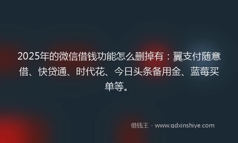 2025年的微信借钱功能怎么删掉有：翼支付随意借、快贷通、时代花、今日头条备用金、蓝莓买单等。