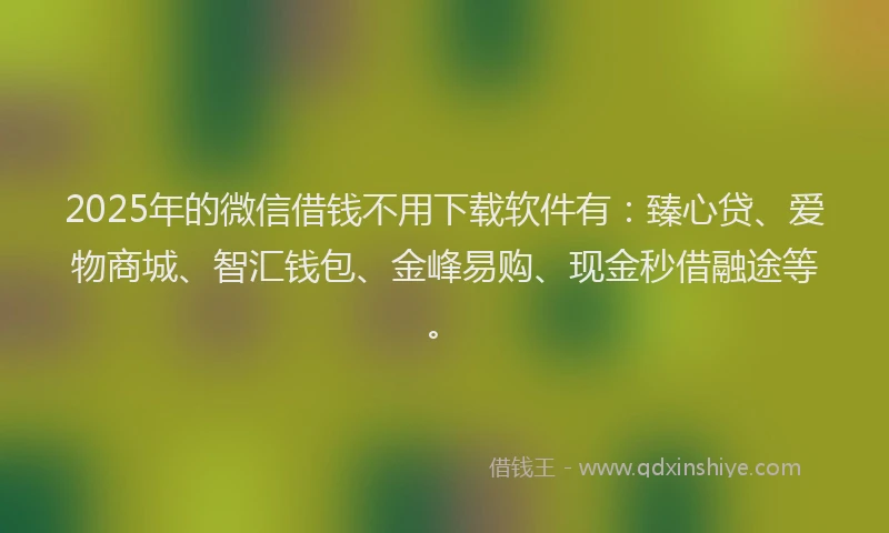 2025年的微信借钱不用下载软件有：臻心贷、爱物商城、智汇钱包、金峰易购、现金秒借融途等。