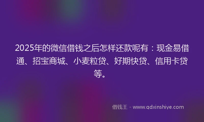 2025年的微信借钱之后怎样还款呢有：现金易借通、招宝商城、小麦粒贷、好期快贷、信用卡贷等。