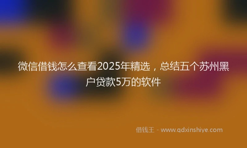 微信借钱怎么查看2025年精选，总结五个苏州黑户贷款5万的软件