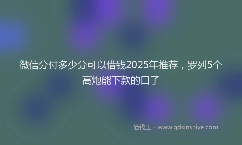 微信分付多少分可以借钱2025年推荐，罗列5个高炮能下款的口子