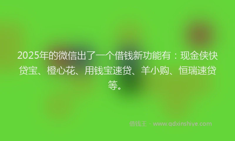 2025年的微信出了一个借钱新功能有：现金侠快贷宝、橙心花、用钱宝速贷、羊小购、恒瑞速贷等。
