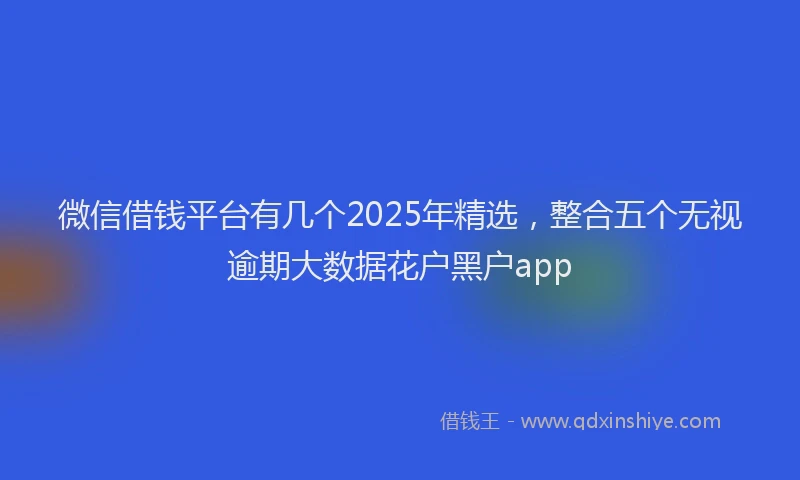微信借钱平台有几个2025年精选，整合五个无视逾期大数据花户黑户app