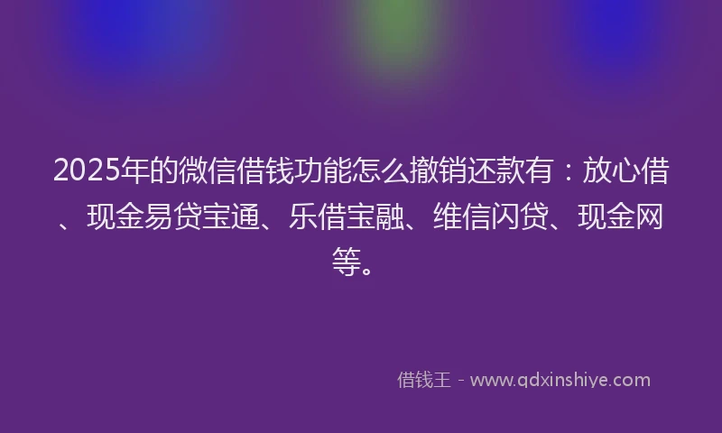2025年的微信借钱功能怎么撤销还款有：放心借、现金易贷宝通、乐借宝融、维信闪贷、现金网等。