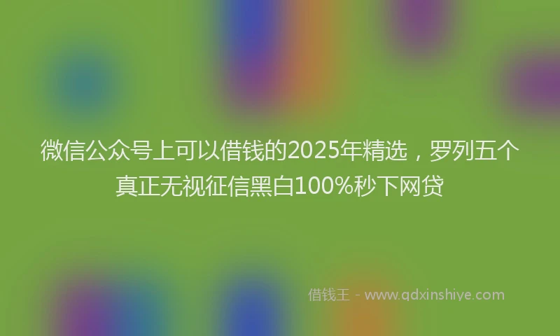微信公众号上可以借钱的2025年精选，罗列五个真正无视征信黑白100%秒下网贷