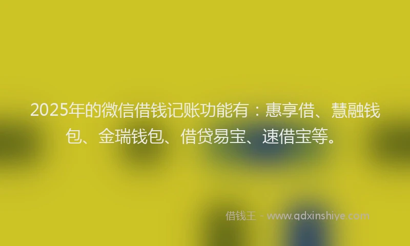 2025年的微信借钱记账功能有：惠享借、慧融钱包、金瑞钱包、借贷易宝、速借宝等。