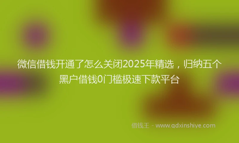 微信借钱开通了怎么关闭2025年精选，归纳五个黑户借钱0门槛极速下款平台