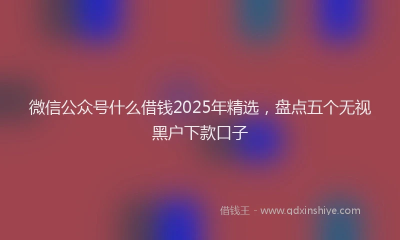 微信公众号什么借钱2025年精选，盘点五个无视黑户下款口子