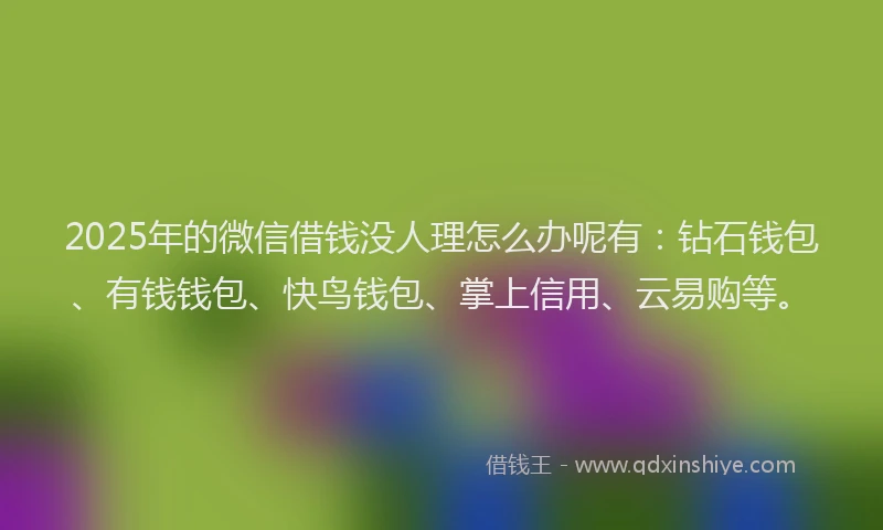2025年的微信借钱没人理怎么办呢有：钻石钱包、有钱钱包、快鸟钱包、掌上信用、云易购等。