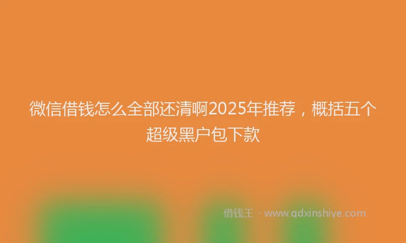 微信借钱怎么全部还清啊2025年推荐，概括五个超级黑户包下款