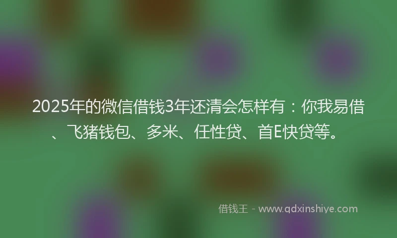 2025年的微信借钱3年还清会怎样有：你我易借、飞猪钱包、多米、任性贷、首E快贷等。