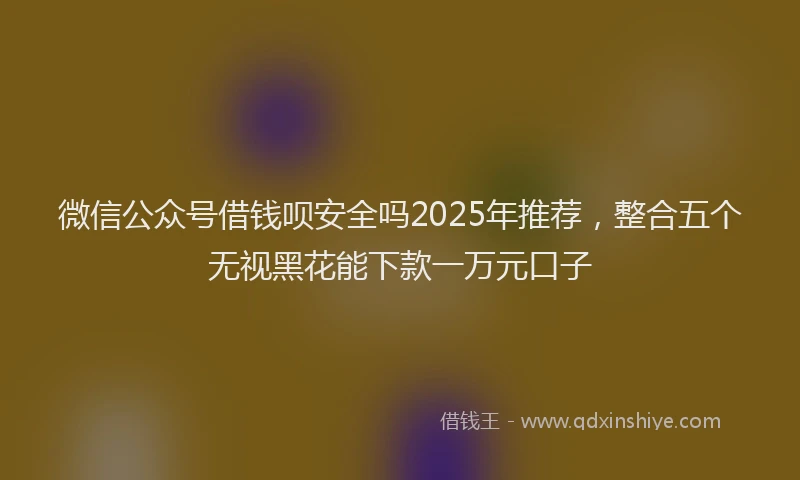 微信公众号借钱呗安全吗2025年推荐，整合五个无视黑花能下款一万元口子