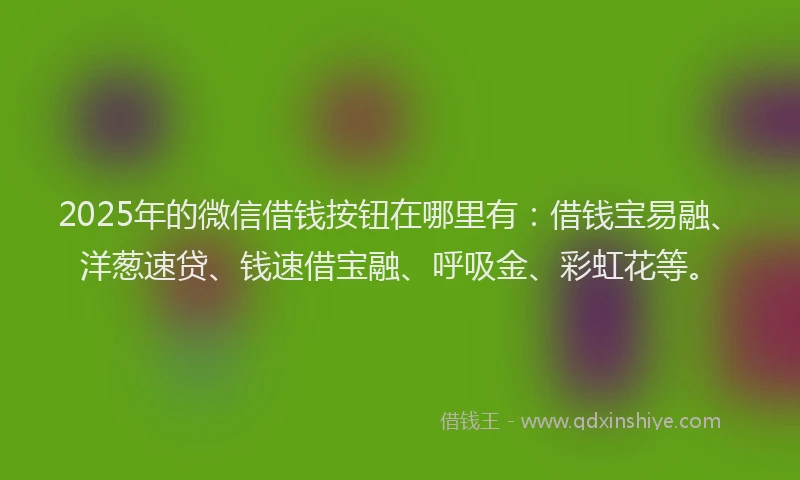2025年的微信借钱按钮在哪里有：借钱宝易融、洋葱速贷、钱速借宝融、呼吸金、彩虹花等。