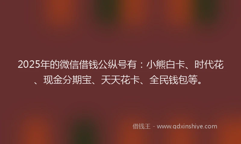 2025年的微信借钱公纵号有：小熊白卡、时代花、现金分期宝、天天花卡、全民钱包等。