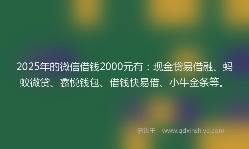 2025年的微信借钱2000元有：现金贷易借融、蚂蚁微贷、鑫悦钱包、借钱快易借、小牛金条等。