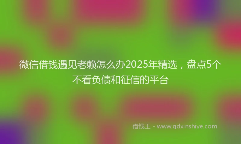 微信借钱遇见老赖怎么办2025年精选，盘点5个不看负债和征信的平台