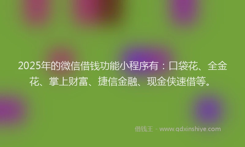 2025年的微信借钱功能小程序有：口袋花、全金花、掌上财富、捷信金融、现金侠速借等。