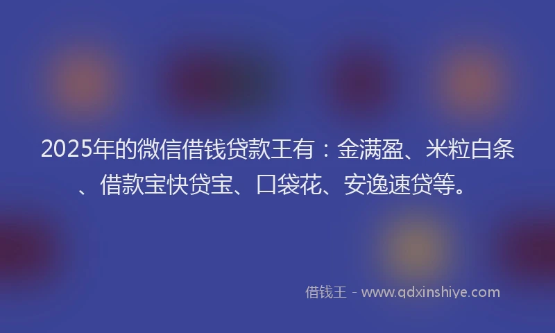 2025年的微信借钱贷款王有：金满盈、米粒白条、借款宝快贷宝、口袋花、安逸速贷等。