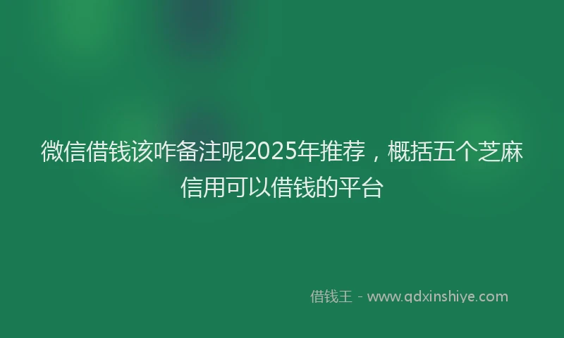 微信借钱该咋备注呢2025年推荐，概括五个芝麻信用可以借钱的平台