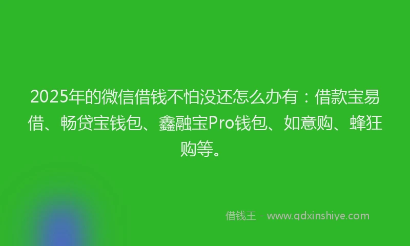 2025年的微信借钱不怕没还怎么办有：借款宝易借、畅贷宝钱包、鑫融宝Pro钱包、如意购、蜂狂购等。